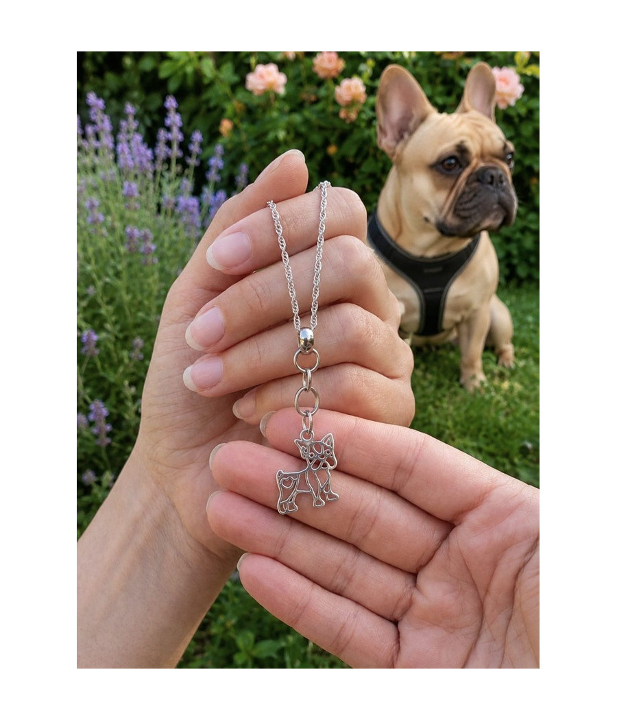 Collar Frenchie Amor